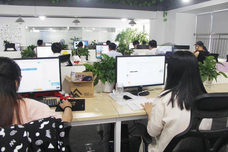 杭州啟翔網絡科技 數字化浪潮中的匠心與遠見